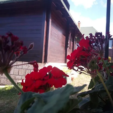 Villa Kraljev Sto *